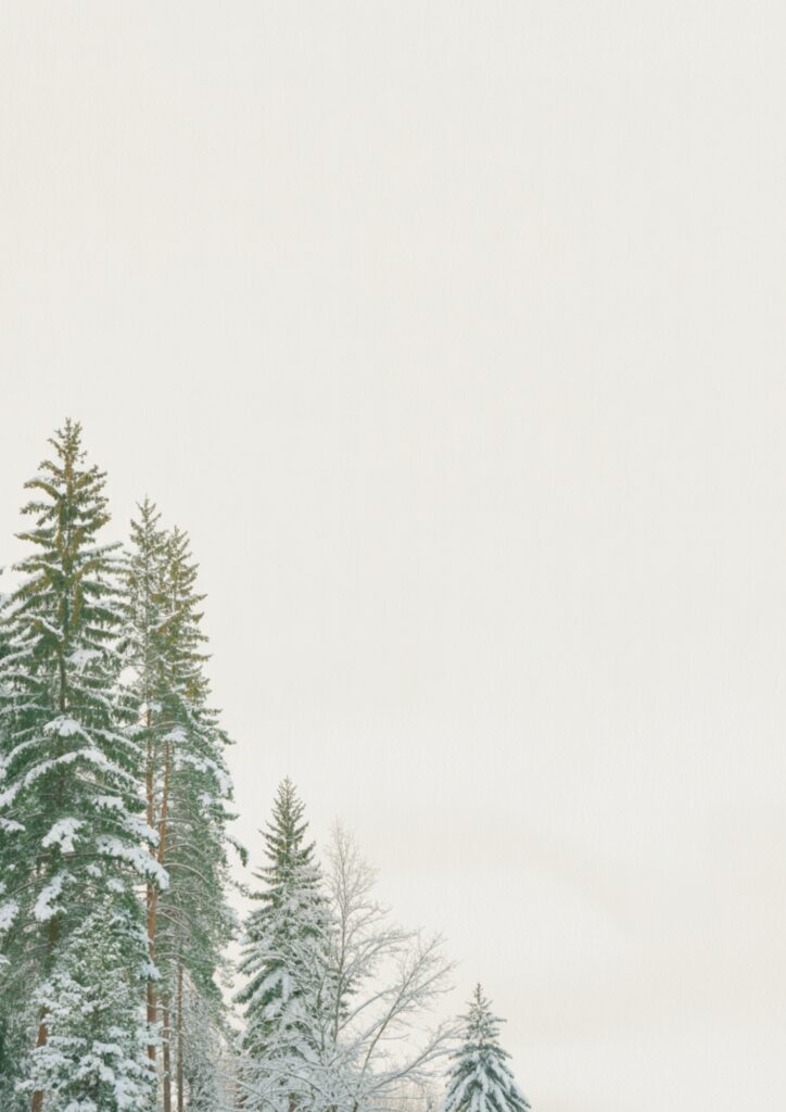 Winter Digital Backgrounds Packs Vol.2 18