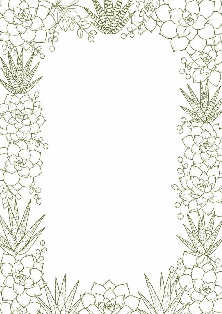 Succulent border with aloe plants and decorative botanical details.