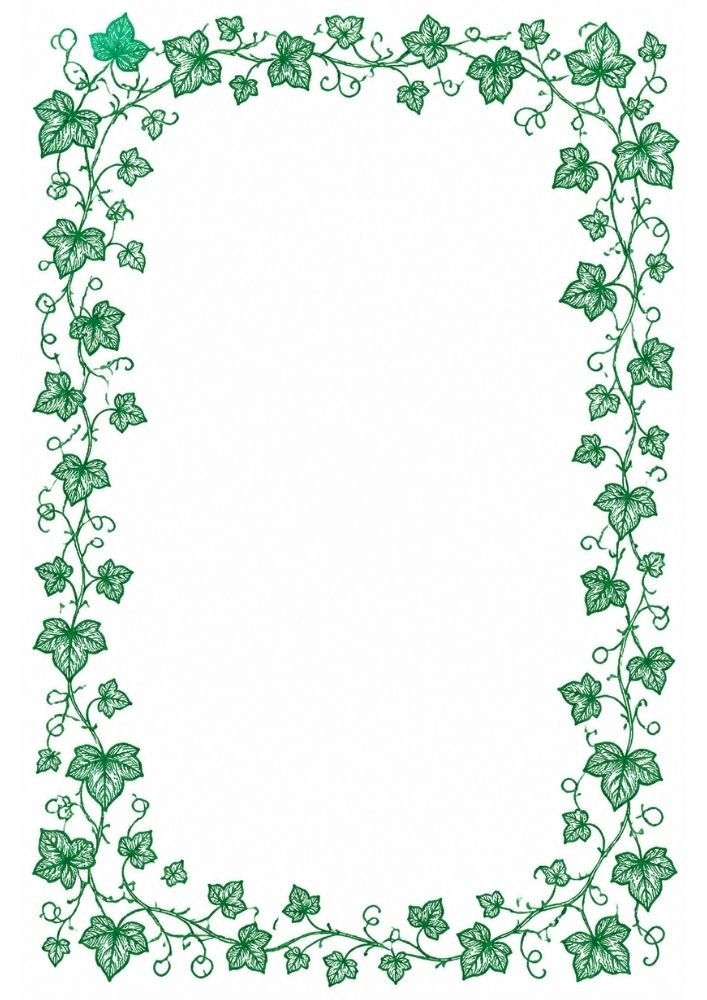 Decorative ivy vine border with detailed leaves and curling tendrils.