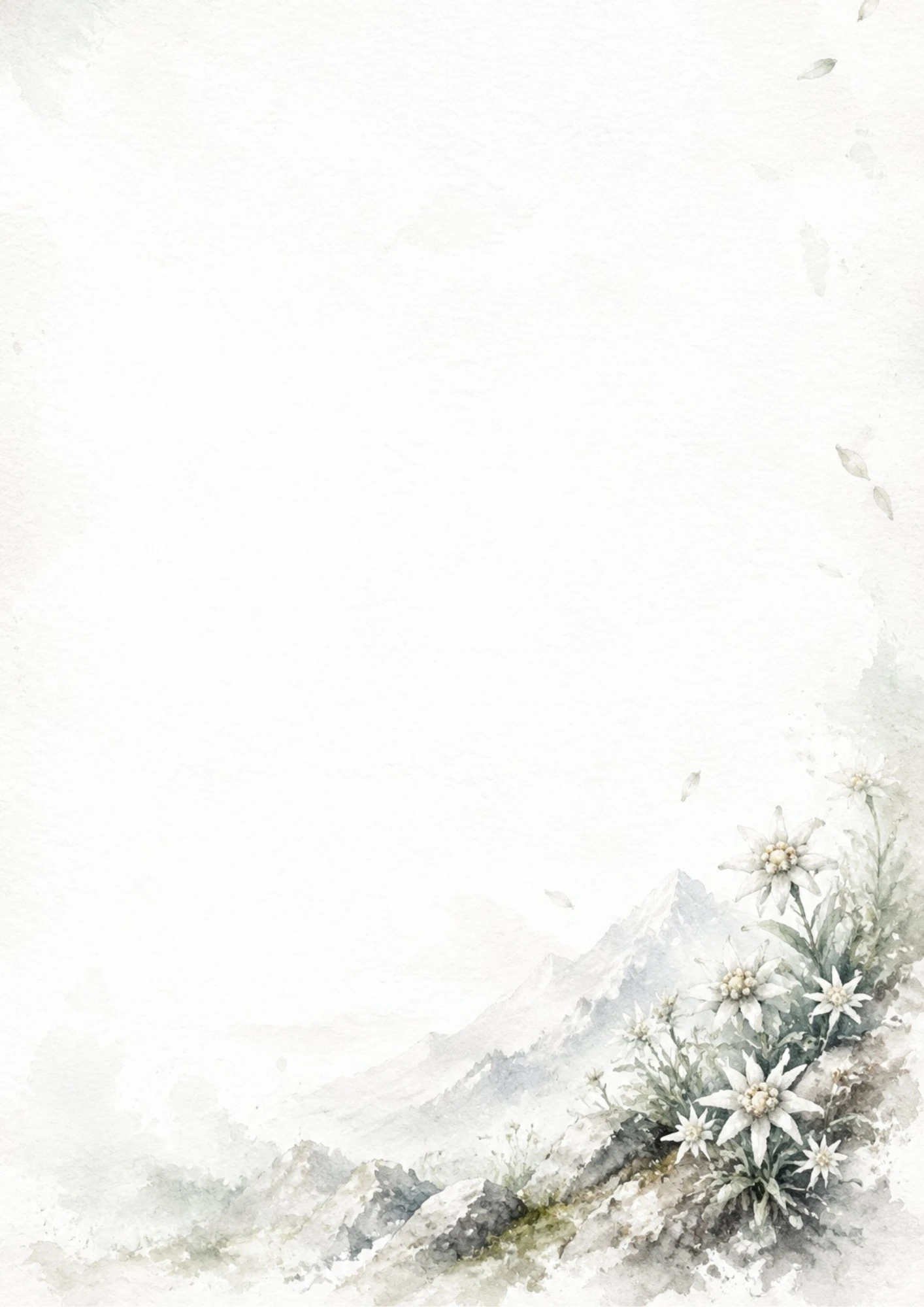 A watercolor illustration of white star-shaped Edelweiss flowers growing on a rocky mountain slope.