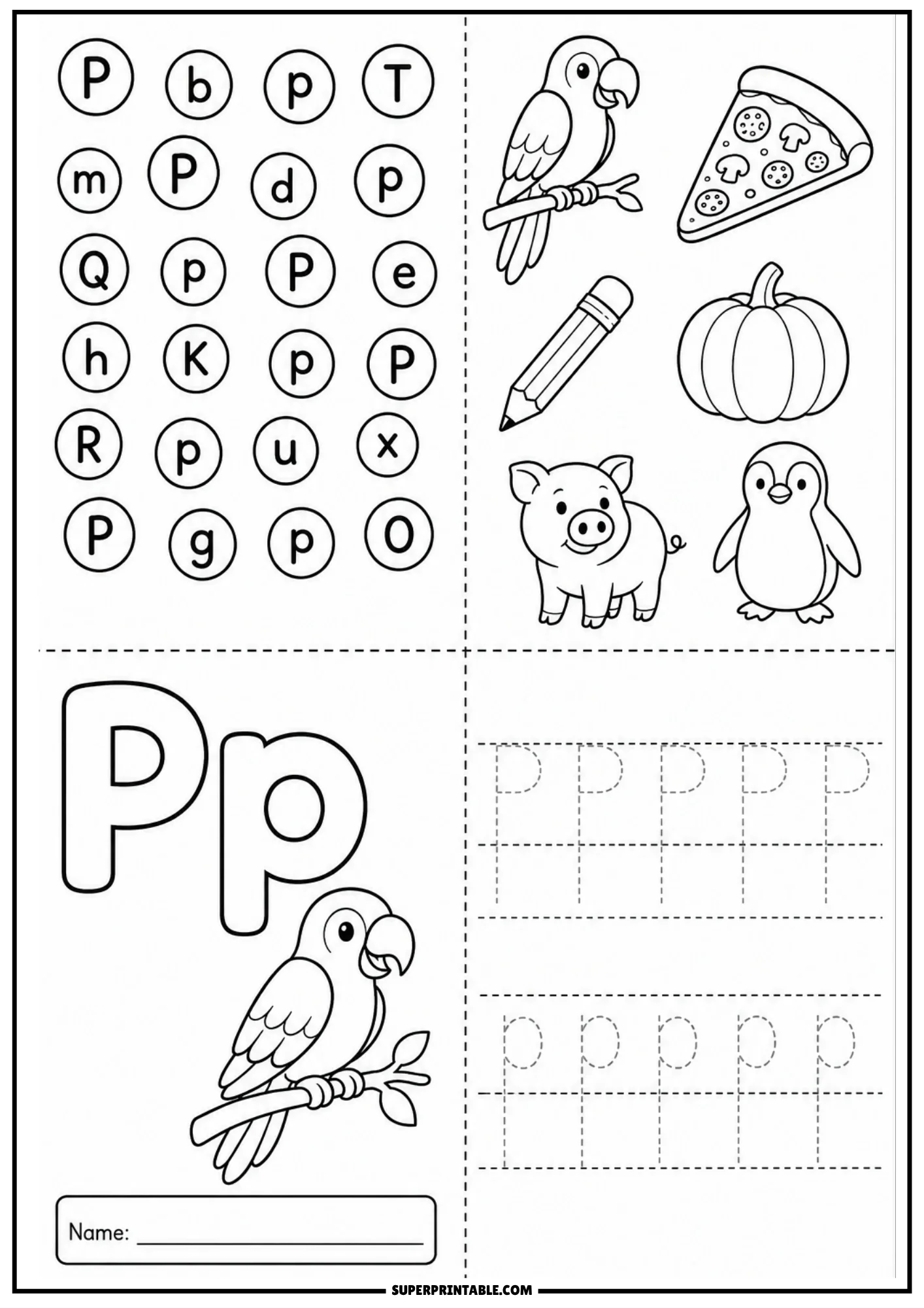 Alphabet worksheet for letter P with letter search grid, line art drawings of parrot pizza pencil pumpkin pig penguin, large outline Pp with parrot on branch, and dotted tracing lines.