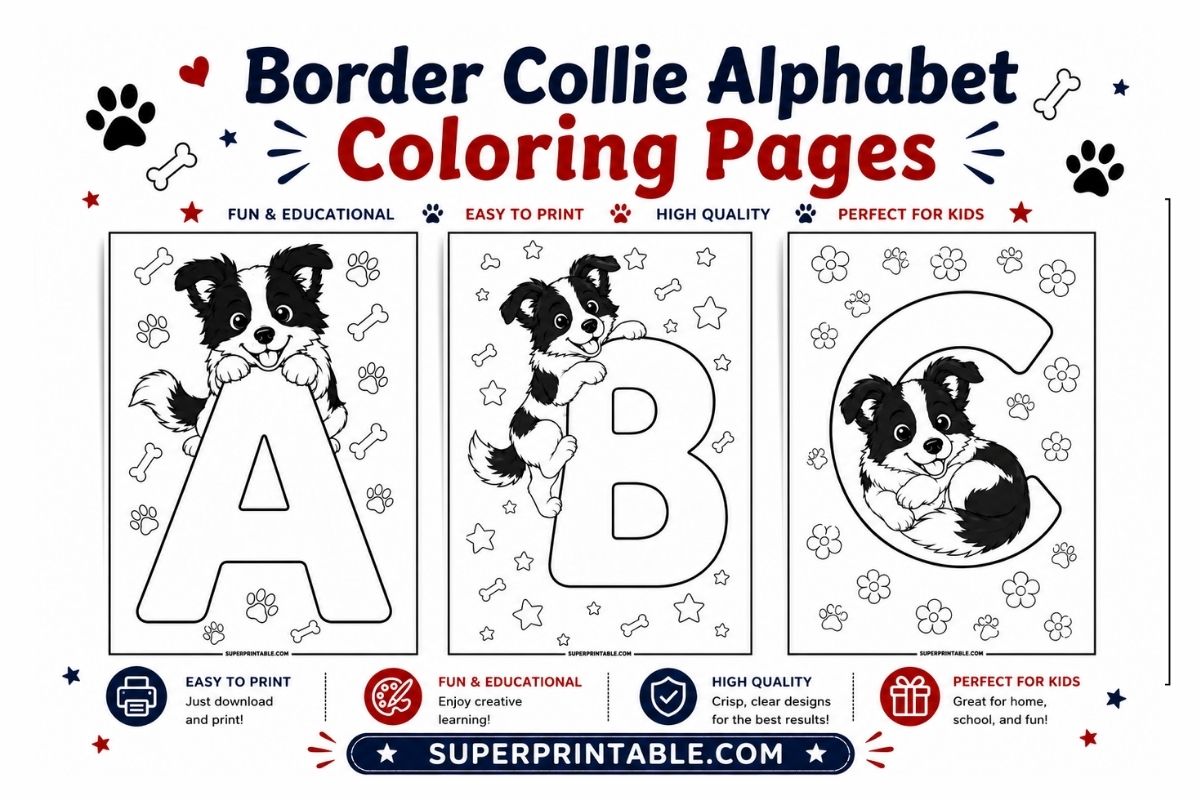 Border Collie Alphabet Coloring Pages