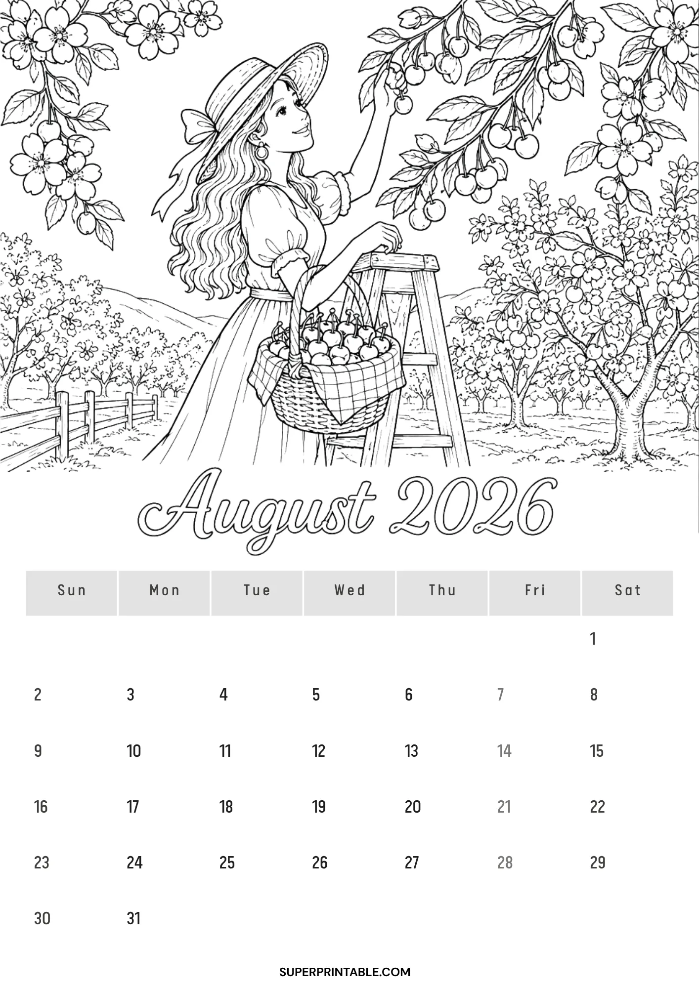 Charming August 2026 monthly calendar line art of a woman picking ripe red cherries in a blooming fruit orchard