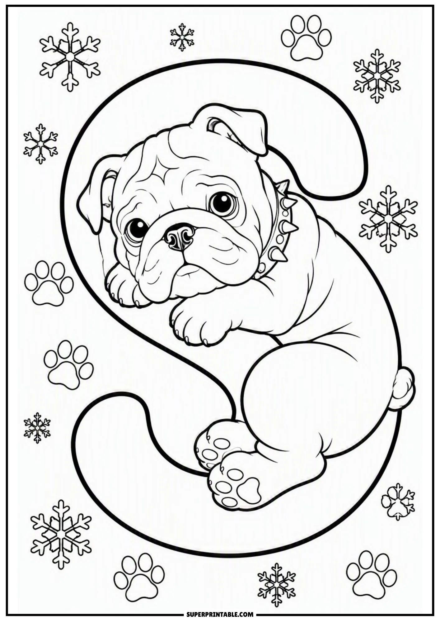 Cozy English bulldog puppy curled along the curve of a large capital letter S with winter snowflakes.