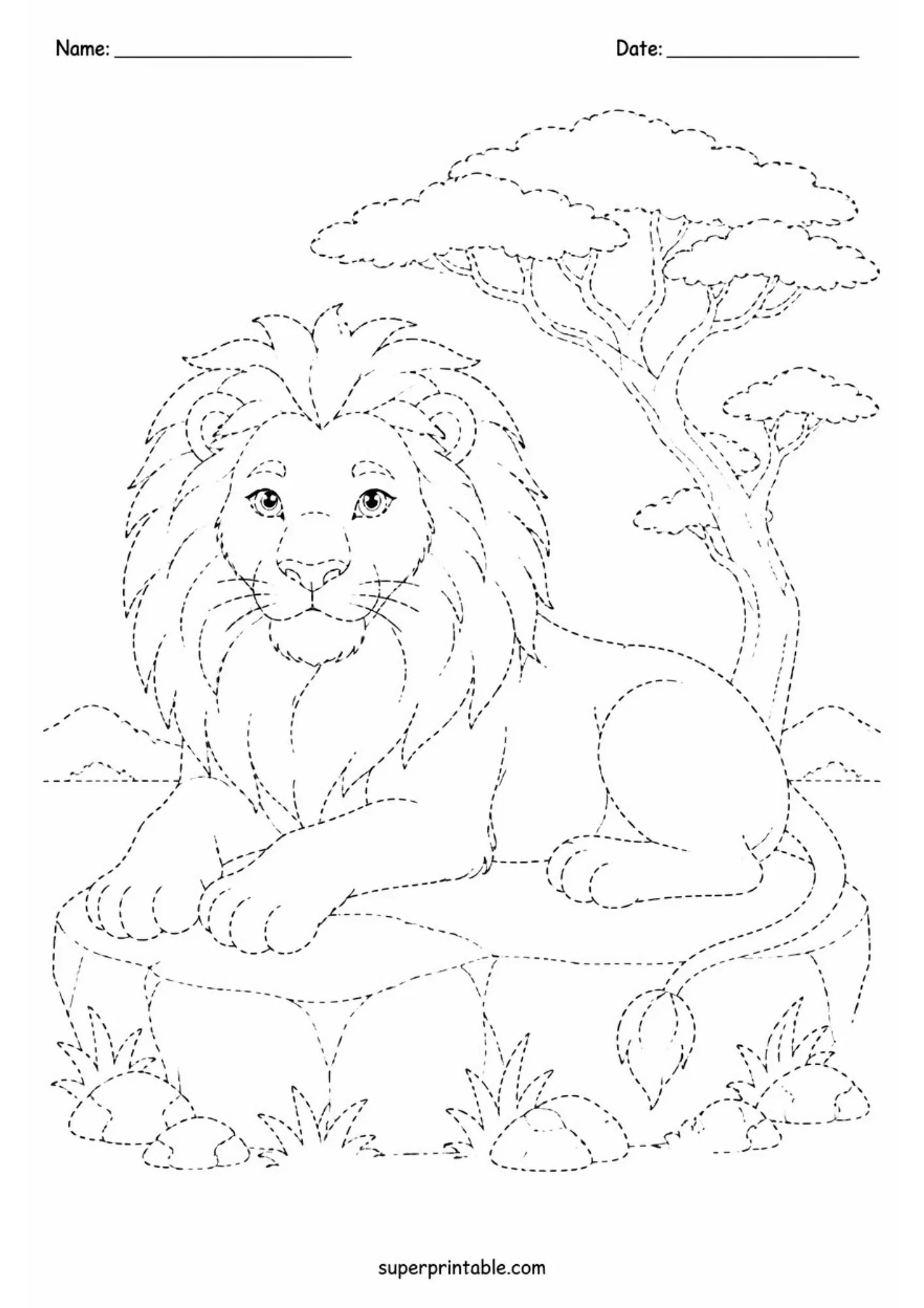 Printable safari lion line tracing sheet with acacia tree background for kids.