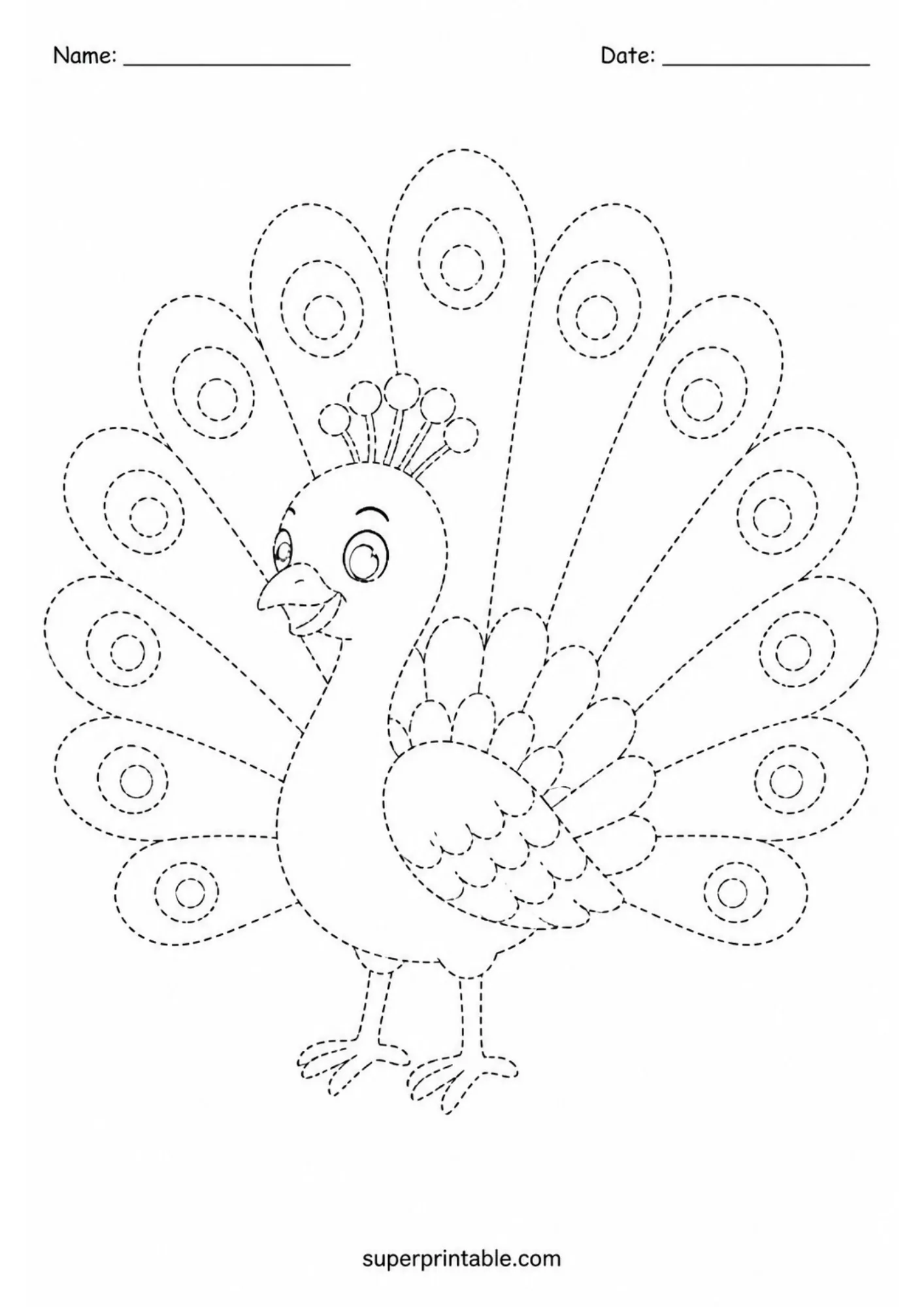 Proud peacock with fanned tail feathers preschool line tracing worksheet.