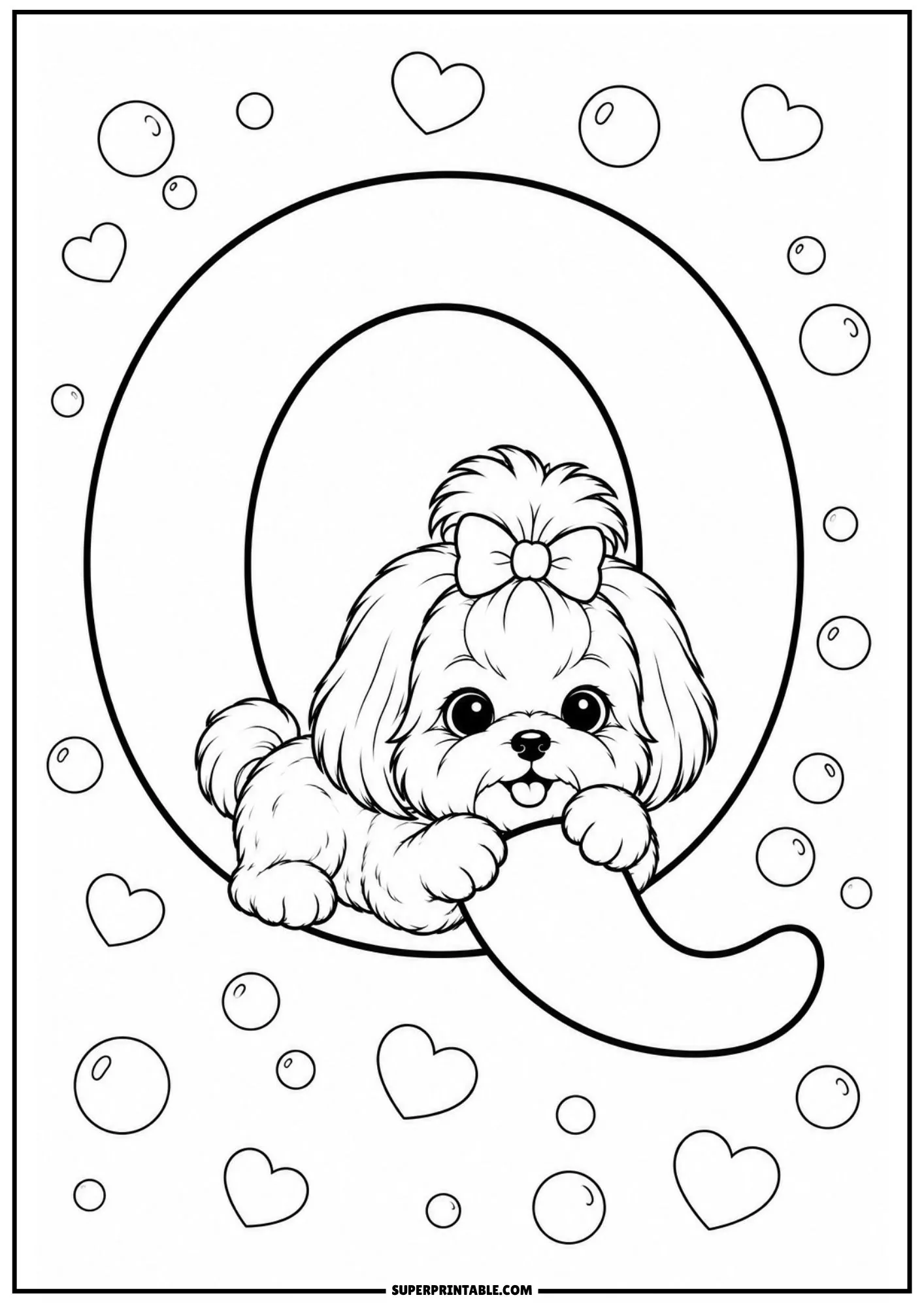 Fluffy Shih Tzu puppy lying gently on the lower tail of a capital letter Q with floating bubbles.