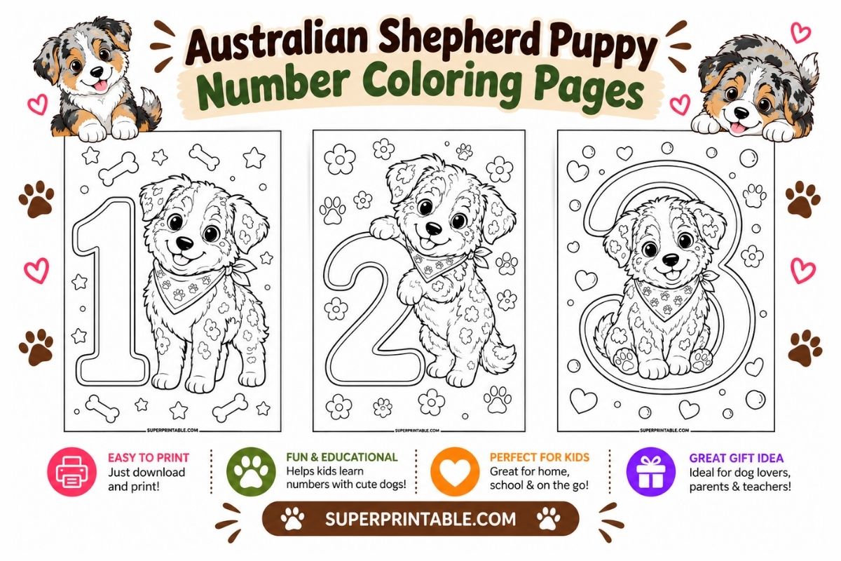 Australian Shepherd Puppy Number Coloring Pages
