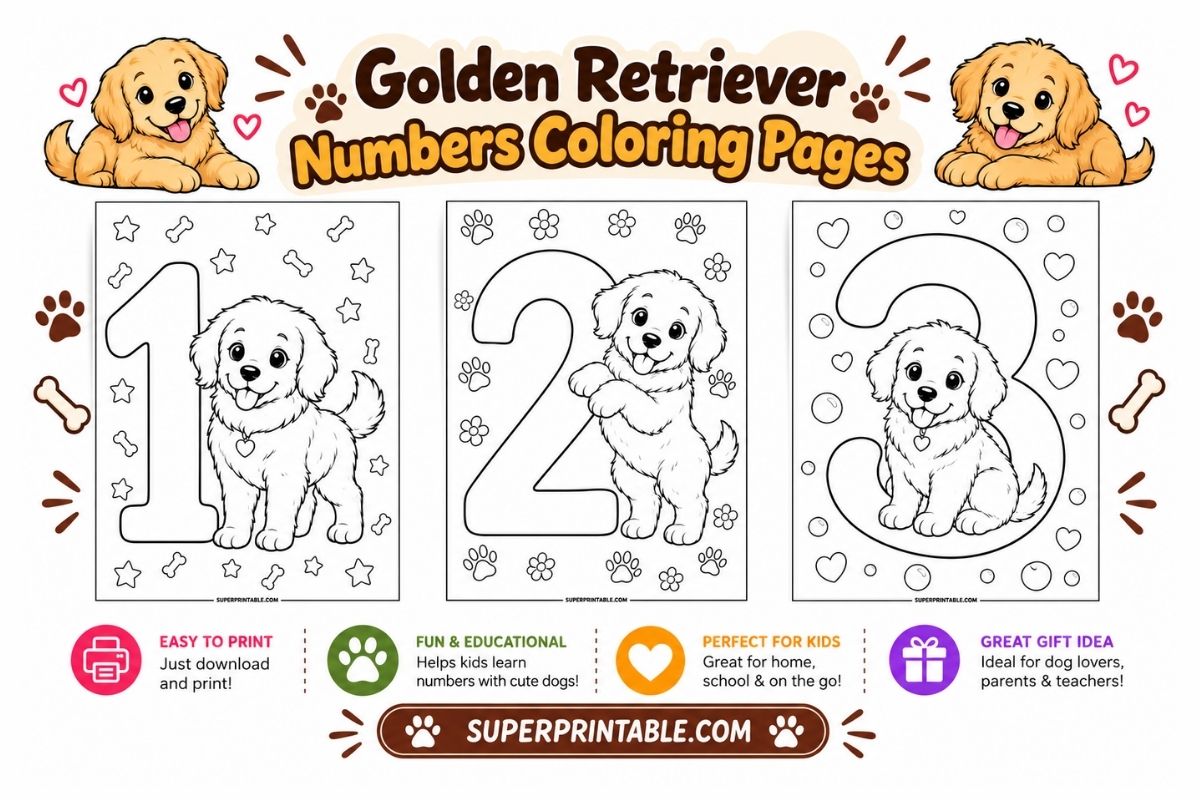 Golden Retriever Puppy Numbers Coloring Pages