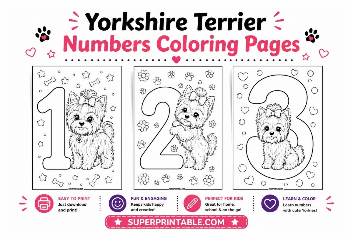 Yorkshire Terrier Numbers Coloring Pages