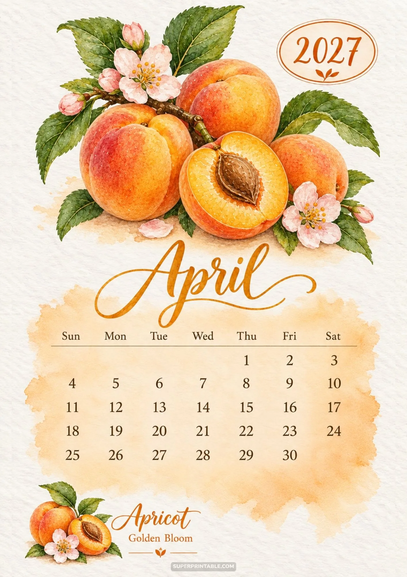 April printable calendar page featuring hand-painted watercolor apricots and soft pink flowers.