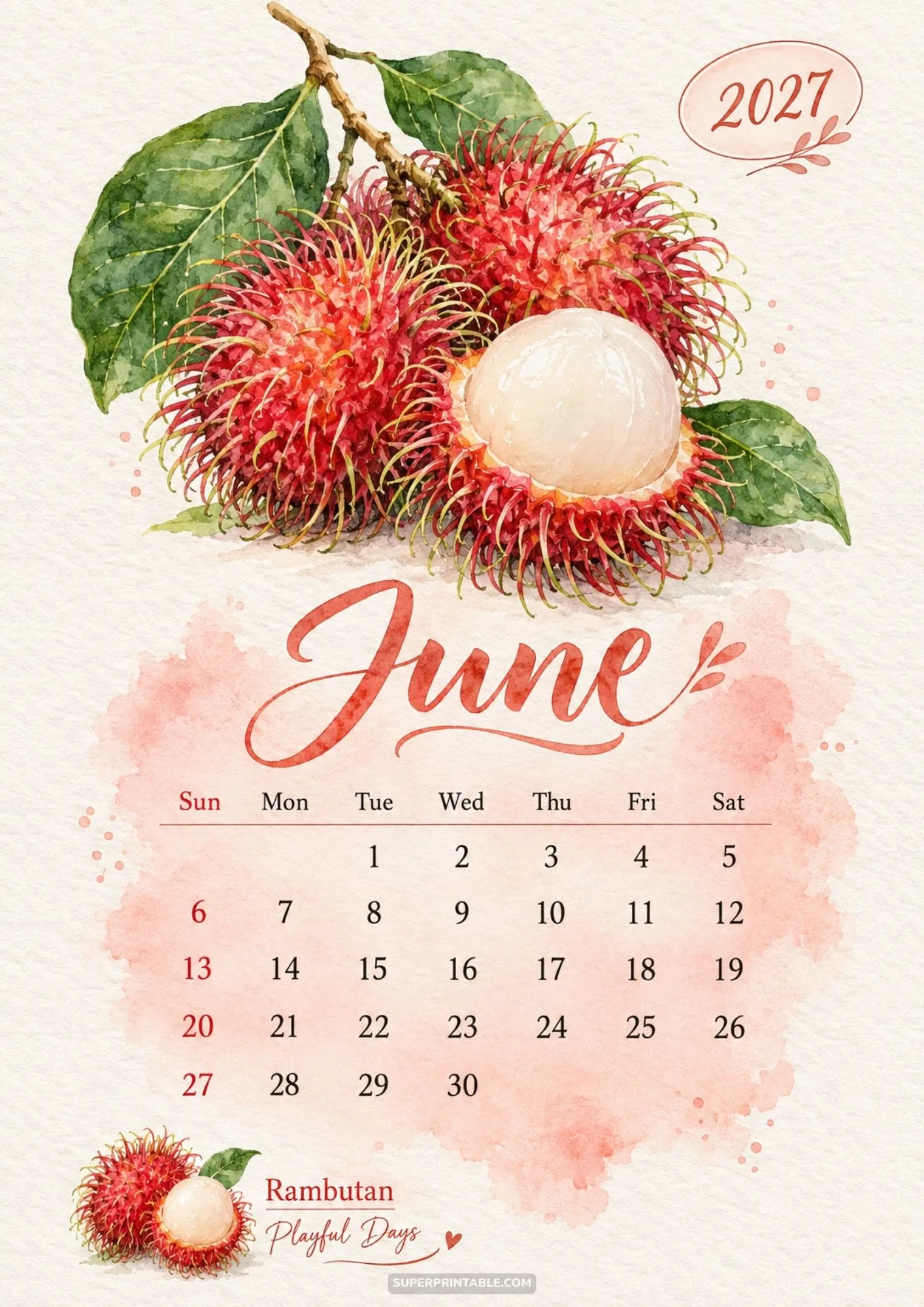 June monthly calendar page with vibrant watercolor rambutan fruit illustrations and coral wash.