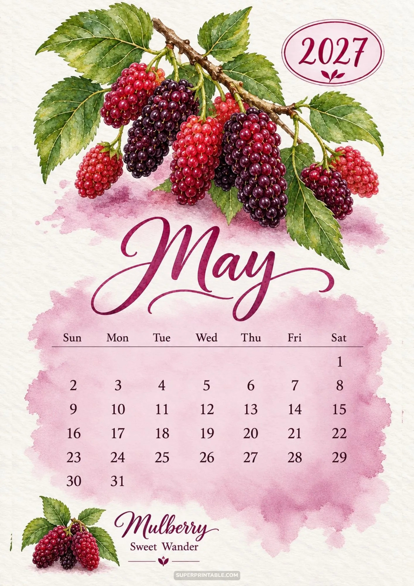 May page from the 2027 watercolor fruit calendar showing rich red and purple mulberries.