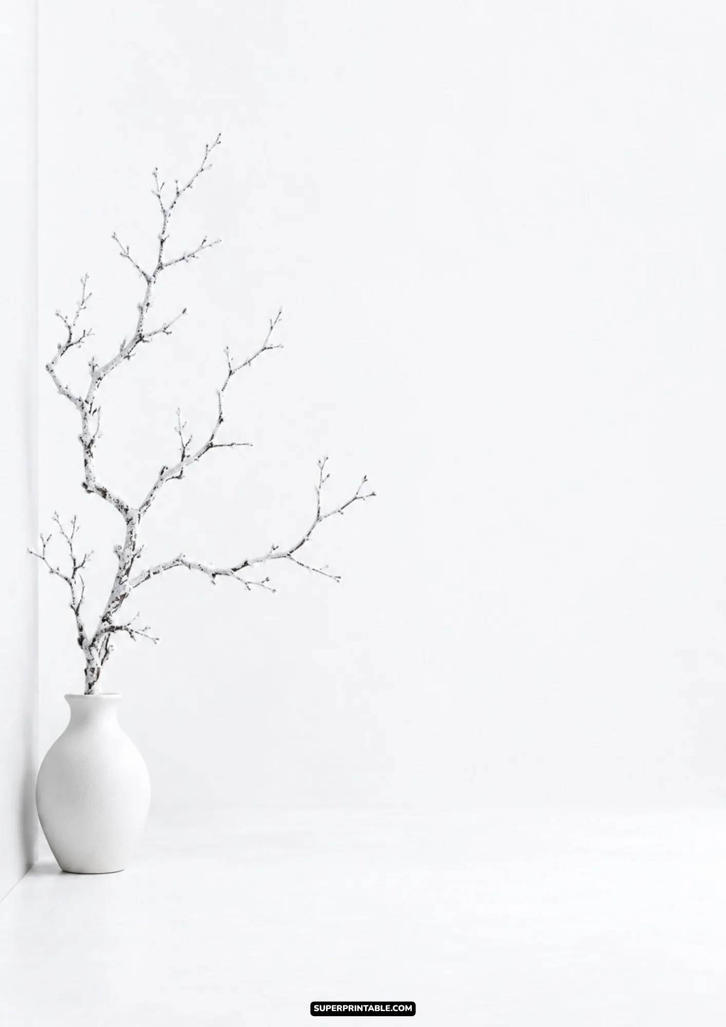 Minimalist frosted winter tree branch displayed in a matte white ceramic vase against a clean bright background