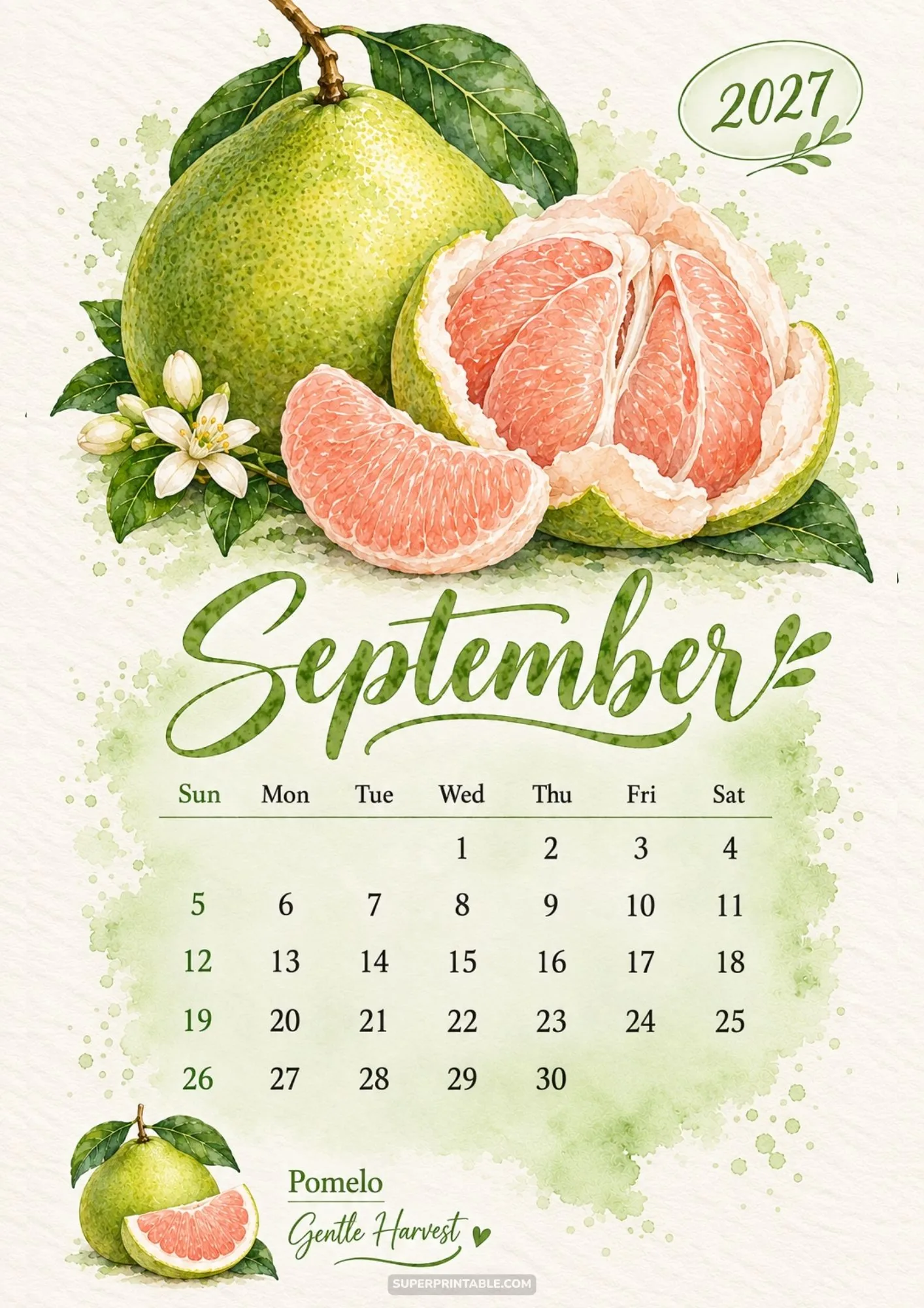 September calendar page with soft green watercolor pomelo fruit illustration and pink pulp.